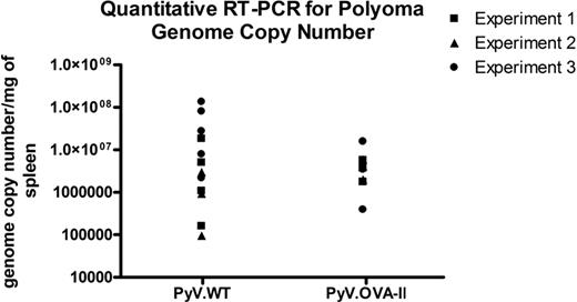 Figure 3. Quantitative real-time PCR enumeration of viral genome copy number. DNA was extracted from splenic tissue taken 7 to 10 weeks after infection from recipient mice infected with wild-type polyoma virus (PyV.WT) or polyoma virus expressing (OVA)323-339 (PyV.OVA-II) and then transfused with HOD RBCs. Quantitative RT-PCR was used to determine the polyoma virus genome copy number. No statistically significant difference in genome copy number between the 2 groups was seen. A compilation of data from 3 individual experiments (3-5 mice/group per experiment) is shown; uninfected mice had an undetectable viral genome copy number (data not shown).