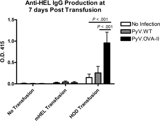 Figure 5. Enhanced alloimmunization to HOD transfusion by PyV.OVA-II requires linkage of (OVA)323-339 to HEL on the antigen. C57BL/6 mice were infected with PyV.WT or PyV.OVA-II and transfused with mHEL or HOD RBCs (uninfected and/or untransfused control groups were also included). One week after transfusion, sera were analyzed for anti-HEL IgG. Similar results were observed at 14 days (data not shown). A representative experiment with 5 mice/group is shown (mean ± SD depicted, with sera at 1:50 dilution); this experiment has been repeated twice (using C57BL/6 as well as C57BL/6 × B10.BR recipients) with similar results.