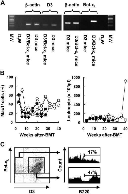 Figure 6. Hematologic abnormality in mice that received transplants of KL cells genetically modified to express D3 and Bcl-xL. (A) RT-PCR analysis of D3 and Bcl-xL expression in peripheral blood cells from mice that underwent transplantation with D3-transduced or D3- and Bcl-xL–transduced KL cells. Left and right panels show D3 and Bcl-xL expression, respectively. β-actin is used as an internal control. D3 mice indicates mice that received transplants of D3-transduced KL cells; D3/Bcl-xL mice, mice that received transplants of D3- and Bcl-xL–transduced KL cells; and MW, molecular weight marker. A vertical line has been inserted to indicate repositioned gel lanes of β-actin and Bcl-XL. (B-C) A total of 5 mice received transplants of KL cells transduced with both D3 and Bcl-xL. The percentages of leukocytes expressing Mac1 (B) and the total number of leukocytes (C) in the peripheral blood are shown. Each open or filled symbol represents a mouse with or without hematologic abnormality, respectively.