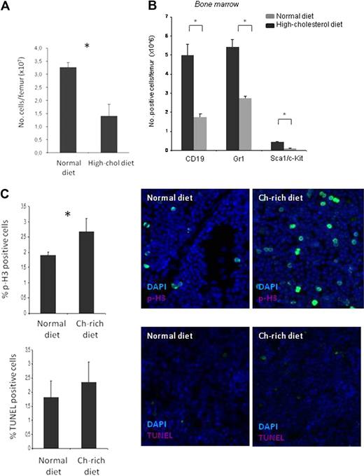 Figure 2. A high-cholesterol diet is associated with decreased total BM-cell counts. (A) Hypercholesterolemic mice present reduced cell numbers per femur (×107). (B) Flow cytometric analysis with Gr-1 (neutrophils), Sca1/c-Kit (progenitors), and CD19 (B lymphocytes) cell-surface markers shows reduced numbers per femur (×106) of all cell lineages tested. (C) Hypercholesterolemia induces cell proliferation (p-H3 immunostaining, top) without altering cell apoptosis (TUNEL assay, bottom; *P < .05). These experiments were performed 3 times with groups of 6 mice/experimental condition with consistent results. Ch indicates cholesterol.