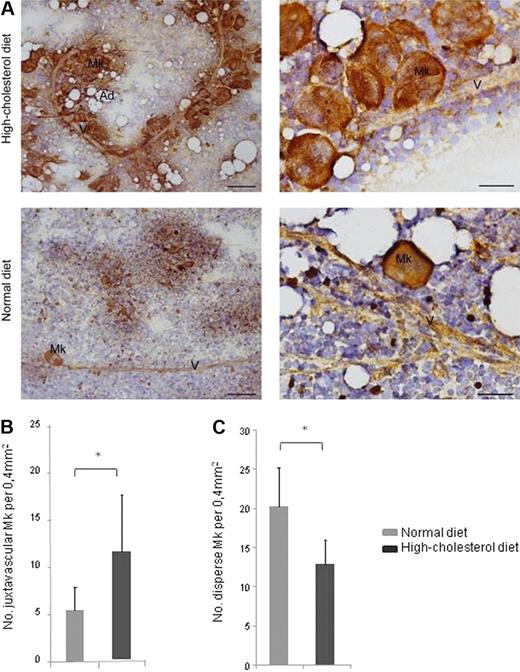 Figure 3. A high-cholesterol diet is associated with MK delocalization toward BM sinusoids. (A) Hypercholesterolemia is associated with MK clustering on the BM vasculature lining (V), as detected by immunostaining for FVIIIra; bar, 100 μm. Greater magnification of BM smears clearly shows that MK are juxtaposed to the BM vasculature (V); bar, 30 μm. Ad, adipocytes. (B-C) Juxtavascular and disperse MKs and vessel count in BM smears, at low amplification, revealed that hypercholesterolemia is accompanied by an increase in juxtavascular and decrease in disperse MK. *P < .05. These quantifications were obtained in 2 independent experiments in BM smears from 3 mice/experimental group with consistent results.