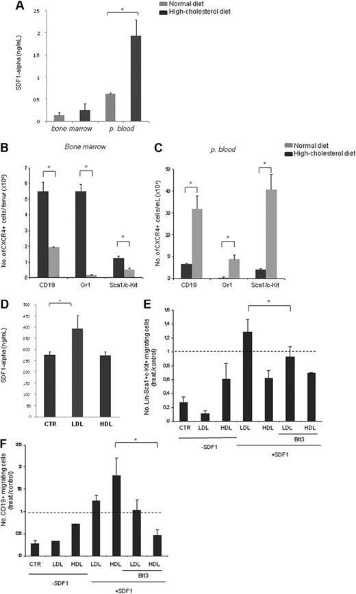 Figure 6. A high-cholesterol diet induces increased SDF-1 plasma levels, favors CXCR4+ cell mobilization to PB, and favors HC migration toward SDF1. (A) Hypercholesterolemia is accompanied by an increase in PB plasma SDF-1 levels, as determined by ELISA quantification. (B) Flow cytometry analysis using Sca1/c-Kit (progenitor), CD19 (lymphocyte), and Gr-1 (neutrophils) cell-surface markers together with CXCR4 shows reduced numbers of double-positive cells per femur (×106) for all cell lineages tested. (C) Flow cytometry analysis with Lin−Sca1+c-Kit+ (progenitor), CD19+ (lymphocyte), and Gr-1+ (neutrophil) cell-surface markers together with CXCR4 shows increased numbers of double-positive B lymphocytes, neutrophils, and progenitor cells (× 104) in the PB of high-cholesterol mice. (D) LDL exposure (100 μg/mL) increased SDF-1 production by HUVEC in vitro, as determined by ELISA (*P < .05). These data were obtained from 3 separate experiments in which we used 6 mice per experimental condition with consistent results. (E) LDL (100 μg/mL) induces and HDL (100 μg/mL) reduces progenitor cells (Lin−Sca1+ c-Kit+) migration toward SDF-1. (F) LDL (100 μg/mL) induced B-lymphocyte (CD19+) migration toward SDF-1 is reversed when SR-BI is inhibited. LDL effect is reverted when SR-BI is inhibited (*P < .05). The data are shown as the number of migrating cells in relation to the control condition (SDF-1 alone). These data were obtained from 2 separate experiments with consistent results. CTR, control.