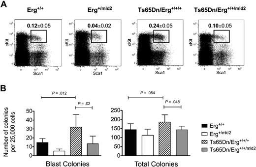 Figure 2. Analyses of hematopoietic stem and progenitor cells. (A) Representative flow cytometric profiles of bone marrow cells with lineage-negative c-Kit+Sca1+ (LSK) hematopoietic stem cells indicated as the mean and SD of the percentage of viable cells per femur in mice at 12 months of age. The total femoral cellularity was the same for mice of all genotypes with Erg+/+ (n = 6), Erg+/mld2 (n = 8), Ts65Dn/Erg+/+/+ (n = 9), and Ts65Dn/Erg+/+/mld2 (n = 5). P values from unpaired 2-tailed t tests: P = .038 for comparison of data from Ts65Dn/Erg+/+/+ and Ts65Dn/Erg+/+/mld2; P = .048 for comparison of Ts65Dn/Erg+/+/+ and Erg+/+; and P = .57 for comparison of Ts65Dn/Erg+/+/mld2 and Erg+/+. (B) Hematopoietic progenitor cell numbers from agar colony assays of 25 000 bone marrow cells stimulated with stem cell factor, interleukin-3, and erythropoietin for 7 days, with mean and SD of the number of blast colonies and total colonies shown. Erg+/+ (n = 6), Erg+/mld2 (n = 8), Ts65Dn/Erg+/+/+ (n = 9), and Ts65Dn/Erg+/+/mld2 (n = 5). P values indicated are from unpaired 2-tailed t tests.