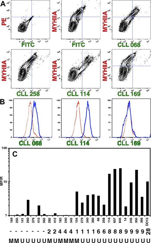 Figure 3. Multiple CLL mAbs react with MEACs. Spontaneous apoptotic Jurkat cells were stained with rabbit anti–human MYHIIA antibody (25 μg/mL) and CLL mAb (25 μg/mL), followed by secondary antibodies: PE-conjugated anti–rabbit IgG (1 μg/mL) and FITC-conjugated anti–human IgG (1 μg/mL). (A) Flow cytometric analyses are displayed as contour plots of fluorescence intensity shown on log scales with BiExponential transformation. Top left panel shows cells stained with secondary antibodies alone. Top middle panel shows cells stained with all reagents except CLL mAb. The remaining panels show staining with different CLL mAbs as indicated. (B) After gating on MYHIIA+ cells, histograms of the percentage of maximum (% of Max) fluorescent intensity for indicated CLL mAb staining (blue thick line) is shown relative to cells stained with all reagents except CLL mAb (red thin line). CLL 258 histogram (not shown) was similar to that of CLL 068. (C) Chart showing the MFIR staining of MEACs with 26 CLL mAbs. The MFI for CLL mAb staining of MYHIIA+ cells was determined from histograms as shown in panel B. The MFIR was calculated by dividing with the MFI obtained for MYHIIA+ cells that were stained with all reagents except CLL mAb. The CLL mAb is indicated on the x-axis. The CLL mAb subset is indicated underneath the CLL mAb numbers (subset number or “-” if not part of a subset). The bottom row of letters indicates if the IGHV of a CLL mAb is mutated (M) or not (U).