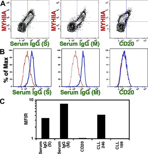 Figure 5. Normal human serum IgG reacts with MEACs. Spontaneous apoptotic Jurkat cells were stained with 25 μg/mL rabbit anti–human MYHIIA antibody and 25 μg/mL CLL mAb, normal human serum IgG from Sigma (S; 25 μg/mL) or Miltenyi Biotec (M; 2 μL), or 25 μg/mL humanized anti-CD20 mAb, followed by 1 μg/mL secondary antibodies: PE-conjugated anti–rabbit IgG and FITC-conjugated anti–human IgG. Representatives of 4 experiments are shown. (A) Flow cytometric analyses are displayed as contour plots of fluorescence intensity shown on log scales with BiExponential transformation. Panels show costaining with anti-MYHIIA and serum IgG or anti-CD20. (B) After gating on MYHIIA+ cells, histograms of the percentage of maximum (% of Max) fluorescent intensity for indicated staining (thick blue line) is shown relative to cells stained with CLL 169 mAb (thin red line). (C) The MFIR staining of MEACs was calculated as in Figure 3C except that the MFIR was calculated by dividing the MFI for MYHIIA+ cells stained with CLL 169 mAb.