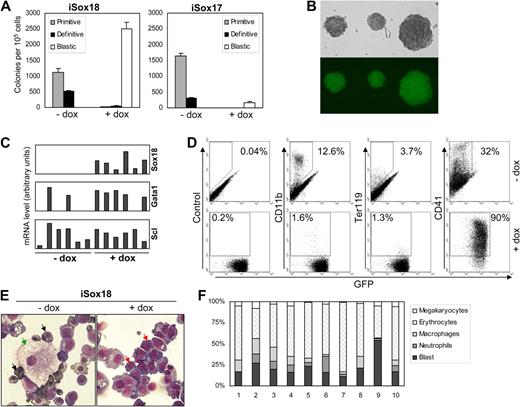 Figure 1. Sox18 blocks the maturation of hematopoietic precursors. (A) Cells from day 5 iSox18 and iSox17 embryoid bodies (EBs) were replated with (+) or without (−) doxycycline (dox) in clonogenic assay for hematopoietic progenitors. Definitive colonies represent all definitive colonies, including macrophage colonies, macrophage/erythrocyte colonies, granulocyte macrophage colonies, and mix granulocyte macrophage-erythroid colonies. All colony scoring data are shown from a representative experiment as the mean number of colonies from 3 dishes. Bars represent SEM. Similar results were obtained with 2 independent ES clones for both iSox17 and iSox18. (B) Representative pictures of iSox18+ blastic colonies obtained in clonogenic replating assay with doxycycline (original magnification ×40, inverted Leica DMIRB, Nikon Coolpix 995 camera, processed with Adobe Photoshop software). (C) Individual colonies derived from iSox18 EB cells and grown with or without doxycycline were tested for the expression of the indicated genes by real-time PCR. (D) Flow cytometric analysis for the indicated cell-surface markers of pooled colonies derived from iSox18 EB cells and grown for 5 days in semisolid clonogenic replating for hematopoietic progenitors with or without doxycycline. (E) May-Grünwald-Giemsa and O-dianosidine staining of cells derived from iSox18-sorted hematopoietic precursors grown for 6 days in liquid cultures with or without doxycycline (Zeiss, Mirax scan and software, 40× magnification). Black arrows indicate primitive erythrocytes; green arrows, macrophages; and red arrows, blast cells. (F) After May-Grünwald-Giemsa staining, the percentage of erythroid and myeloid cell types was scored for individual iSox18+ colonies grown for 5 days without doxycycline. For each colony, 100 cells were counted. All data are representative of at least 3 independent experiments.