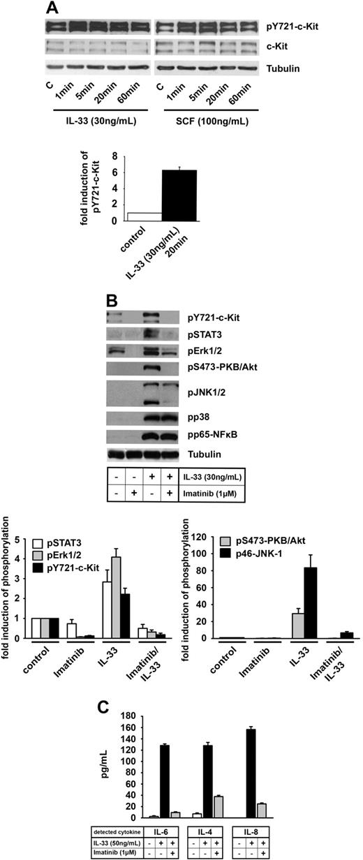 Figure 1. IL-33–induced signaling and cytokine release in mast cells. (A) HMC-1.1 cells were stimulated with IL-33 or SCF as indicated. Cell lysates were separated by SDS-PAGE, blotted, and probed with anti–pY721-c-Kit. Because of the high basal phosphorylation level, the exposure time was less than 5 seconds. (B-C) HMC-1.1 cells were preincubated with imatinib before stimulation with IL-33. Cell extracts were analyzed with the indicated antibodies (B). Phosphorylation was quantified in 3 independent experiments and results are shown as increase (mean ± SEM) relative to nonstimulated cells. Supernatants were analyzed for IL-4, IL-6, and IL-8 (C).