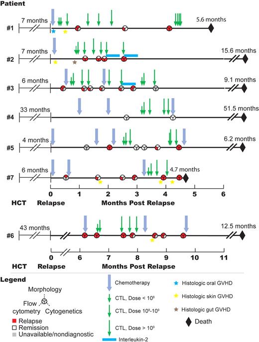 Figure 2. Clinical course of the 7 patients who underwent T-cell therapy. Timelines showing chronology of postrelapse treatment, disease status, histologic diagnoses of GVHD, and survival of all 7 patients who were treated for posttransplantation relapse with CD8+ mHAg-specific T-cell therapy.