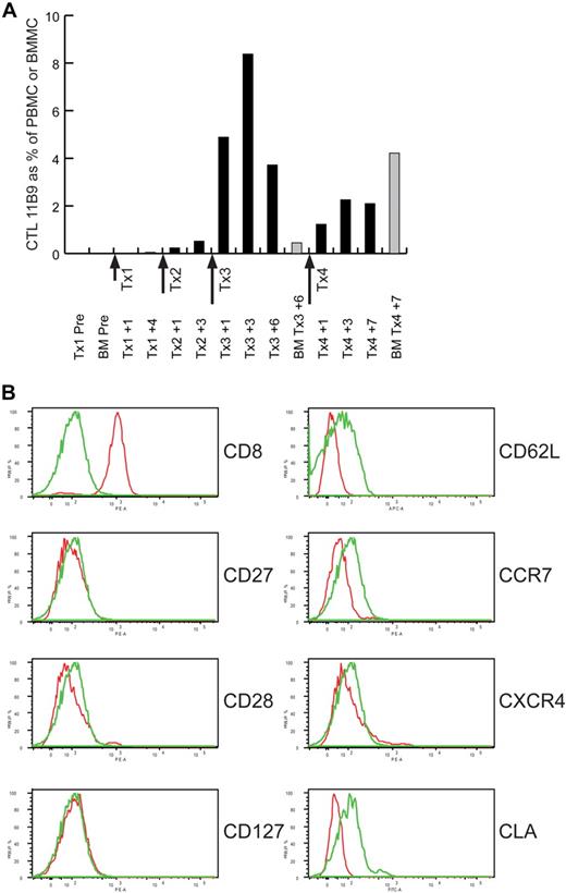 Figure 4. Adoptively transferred CTLs migrate to bone marrow but have limited in vivo persistence. (A) Real-time PCR with primers that specifically amplify the uniquely rearranged TCRβ CDR3 region of the mHAg-specific CTL clone 11B9-45 were used to detect and enumerate 11B9-45 CTL in the blood (■) and bone marrow (BM; ▩) of Patient no. 7 at the indicated time points before or during T-cell therapy. The level of 11B9-45 CTLs detected is expressed as a percentage of PBMCs or bone marrow mononuclear cells (BMMCs). The dose (in approximate log10 scale) and timing of each of the 4 T-cell infusions administered to this patient (Tx1, Tx2, Tx3, and Tx4) are indicated. (B) Flow cytometric analysis of 11B9-45 CTLs before adoptive transfer. Cells stained with a mAb specific for the molecule indicated to the right of each histogram are indicated in red, and those stained with an isotype control antibody are indicated in green.