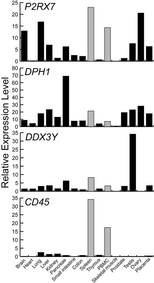 Figure 5. Relative expression of mHAg-encoding genes in different human tissues. Real-time PCR was used to determine the relative expression levels of the P2RX7, DPH1, and DDX3Y genes in different human tissues. Expression of the hematopoietic-specific CD45 gene was also determined to permit estimation of the extent to which each of the tissues examined was contaminated by cells of hematopoietic origin. For each gene, the relative expression level was defined as the expression level of that gene in a specific tissue compared with its expression level in male EBV-LCL. ▩ indicates expression level of each gene in the spleen and PBMCs to facilitate their comparison with the expression levels in nonhematopoietic tissues.