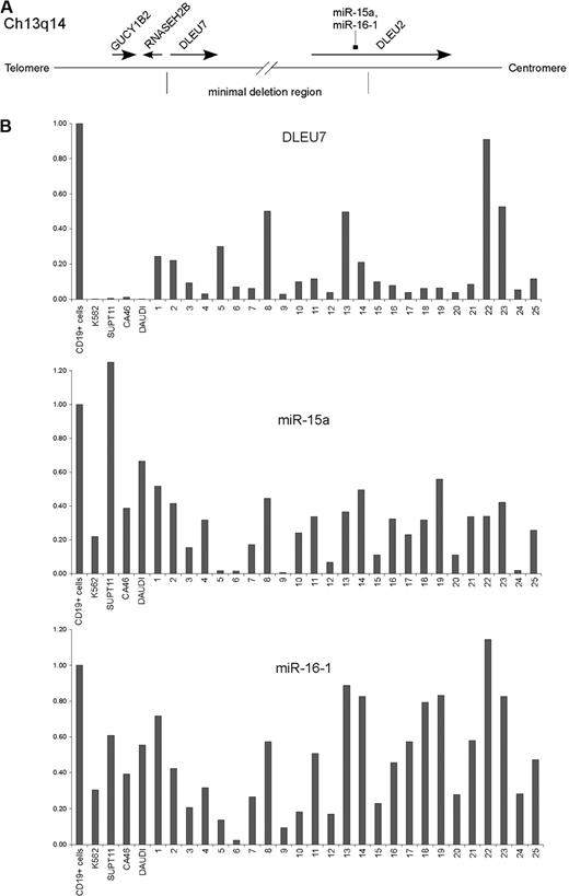 Figure 1. DLEU7 at 13q14. (A) Schematic representation of minimal deleted region at 13q14 in CLL (adapted from Ouillette et al7Fig 2). (B) Expression of DLEU7, miR-15a, and miR-16-1 in B-CLL samples. Relative expression levels of DLEU7, miR-15a, and miR-16-1 in 25 B-CLL samples, 4 lymphoid cell lines, and in normal CD19+ cells were assayed by real-time PCR. Expression levels of DLEU7, miR-15a, and miR-16-1 in CD19+ cells was set at 1. Expression levels of DLEU7, miR-15a, and miR-16-1 were normalized to the expression of GAPDH.