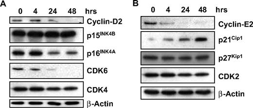 Figure 4. GCS-100 modulates cell-cycle regulatory proteins. (A-B) Western blot analysis of RPMI 8226 cells cultured with 500 μg of GCS-100 for up to 48 hours. Whole-cell lysates were prepared, 25 μg of protein was separated using 12% or 15% SDS-PAGE and after transfer to PVDF membrane was probed with the indicated antibody. β-Actin was used to ensure equal protein loading.