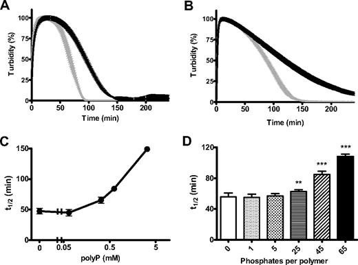 Figure 4. PolyP delays fibrinolysis. Fibrin clots were formed with purified fibrinogen (2.4μM) in the absence (gray line) and presence (black line) of polyP65 (325μM). Lysis was induced by including 20pM tissue plasminogen activator (tPA) and 0.24μM plasminogen (A) or 11nM plasmin (B) with fibrinogen before activation with thrombin (0.25 U/mL) and CaCl2 (5mM). Lysis was monitored by changes in absorbance at 340 nm for 4 hours with time points every 1 minute. Results are normalized to account for polyP-induced changes in turbidity and are expressed as mean ± SEM of the percentage of lysis (n = 6). (C) Lysis was followed as described for tPA and plasminogen but with the addition of various polyP65 concentrations (0-3.25mM). The time to mean time to 50% lysis ± SEM is shown (n = 3). (D) Clots were formed in the presence of monophosphate or polyphosphate of various chain lengths (5-65 phosphate residues) at equivalent monomer concentration (325μM). Lysis by tPA and plasminogen was monitored, and the mean 50% lysis time ± SEM is shown (n = 4). Fifty percent lysis times of statistical significance are denoted with **P < .001 and ***P < .001).