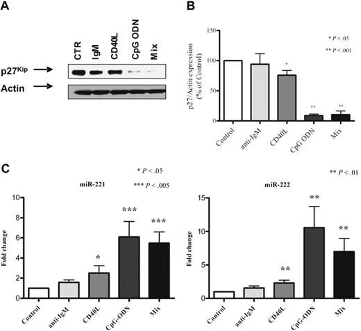 Figure 5. Exogenous stimuli down-regulate p27 and up-regulate miR221/222 in CLL cells. Protein lysates from purified CLL cells of 1 representative case stimulated with anti-immunoglobulin M (IgM) antibodies, CD40L, CpG-ODN, and the mix of the 3 reagents were subjected to Western blot. Blots were probed with anti-p27 antibody and then stripped and reprobed with β-actin as loading control (A). Mean values of densitometric analysis from 10 different patients are reported (B). Bars represent SE. Asterisks mark significant reduction for CD40L, CpG-ODN, and mix. TaqMan miRNA assay was used to detect miR-221 (C left) and miR-222 (C right) levels in control and stimulated cells. The mean value in 10 patients is reported. The average miR-221 induction was 1.4 ± 0.2 (anti-IgM), 2.5 ± 0.7 (CD40L), 6.1 ± 1.5 (CpG-ODN); and 5.5 ± 1.1 (mix of the 3 stimuli), and the average miR-222 induction was 1.6 ± 0.3 (anti-IgM), 2.3 ± 0.4 (CD40L), 10.6 ± 3.2 (CpG-ODN), and 6.9 ± 1.9 (mix of the 3 stimuli). Bars represent SE. Significance is indicated by asterisks. Statistics were calculated with the Wilcoxon test.