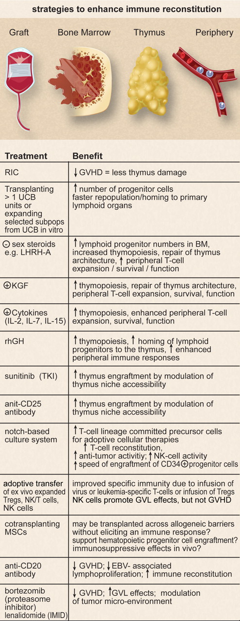 Figure 2. Strategies to enhance immune reconstitution.