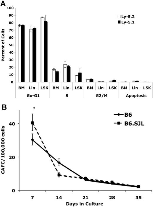 Figure 3. B6 and B6.SJL strains possess equivalent patterns of cell cycling, apoptosis, and CAFCs. (A) There were no significant differences between B6 and B6.SJL cells in any phase of the cell cycle or apoptosis in any bone marrow population tested. Values represent the mean ± SD calculated from 3 independent experiments each using 2 mice per strain. Statistical comparisons were made using the unpaired Student t test assuming unequal variance. (B) There were no significant differences in in vitro defined bone marrow HSC number (CAFCd28 and CAFCd35) between B6 and B6.SJL mice (*P < .05). Data were combined from 3 independent CAFC assays each using marrow pooled from 2 to 3 mice per strain.