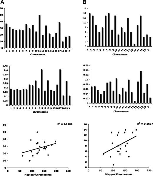 Figure 5. Differentially expressed genes between B6 and B6.SJL stroma are distributed throughout the mouse genome. (A) Using a statistical threshold of P < .05, differentially expressed genes are concentrated on mouse chromosomes 11 and 17, and genomic distribution cannot be attributed only to chromosome size. (B) Using a statistical threshold of P < .01, differentially expressed genes are enriched on chromosomes 1 and 7 when displayed relative to chromosome number (top), and on chromosome 17 when displayed relative to chromosome size (middle). Correlation between chromosome size and the number of differentially expressed genes does not account entirely for genomic distribution.
