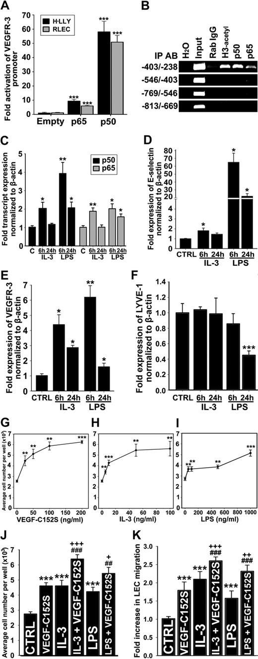 Figure 4. NF-κB pathway up-regulates VEGFR-3 expression and activates lymphatic endothelial cells. (A) VEGFR-3 promoter activity in RLECs and H-LLY cells cotransfected with VEGFR-3−849/+55 and pCMV-Flag-p50, pCMV-Flag-p65, or empty control plasmids. Promoter activity is normalized per milligram of protein. Data presented for each cell line as the mean promoter activity ± SEM of 3 independent experiments performed in duplicate ± SEM (total n = 6 per experimental condition). ***P < .001 versus control as determined by Student unpaired t test. (B) ChIP was performed using RLECs and anti-p65, -p50, and -acetylated histone H3 antibodies (positive control), or nonspecific rabbit IgG (negative control). Immunoprecipitated chromatin was visualized by PCR using primers either flanking (−403/−238 bp) or upstream of putative NF-κB binding sites (−813/−403 bp). Data are representative of 4 independent ChIP experiments with similar results. (C-F) qRT-PCR analysis of NF-κB p50 and p65 (C), E-selectin (D), VEGFR-3 (E), and LYVE-1 (F) mRNA expression in HDLECshtert treated with IL-3 (10 ng/mL) or LPS (100 ng/mL) for 6 or 24 hours. The relative expression of each target was normalized to β-actin. Data are presented as the mean values of 3 independent experiments ± SEM. *P < .05, **P < .01, and ***P < .001 versus control as determined by Student unpaired t test. (G-I) RLEC proliferation induced by 72-hour exposure to VEGF-C152S (25-200 ng/mL; G), IL-3 (5-100 ng/mL; H), and LPS (50-1000 ng/mL; I). (J) Additive proliferative effects of RLECs treated with VEGF-C152S (100 ng/mL), IL-3 (10 ng/mL), or LPS (500 ng/mL) alone compared with pretreatment with IL-3 (10 ng/mL) or LPS (500 ng/mL) followed by stimulation with VEGF-C152S (100 ng/mL). (G-J) Data are presented as the average cell number of 3 independent experiments ± SEM (total n = 6 per condition). (K) Migration of RLECs induced by treatment with VEGF-C152S (200 ng/mL), IL-3 (10 ng/mL), or LPS (500 ng/mL) and combined treatment with IL-3 (10 ng/mL) and VEGF-C152S (200 ng/mL) or LPS (500 ng/mL) and VEGF-C152S (200 ng/mL). RLEC migration toward 0.25% FBS was used as a negative control. Data presented as average fold increase in RLEC migration ± SEM of 3 independent experiments. (J-K) *P < .05, **P < .01, and ***P < .001 versus control. ##P < .01 and ###P < .001 versus cytokine treatment alone. +P < .05, ++P < .01, and +++P < .001 versus VEGF-C152S treatment alone. All statistical tests were done by Student unpaired t test.