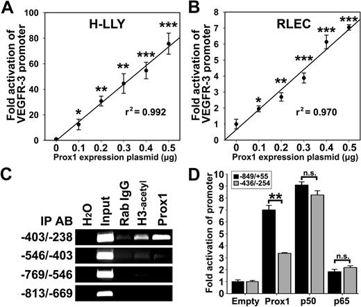 Figure 6. Prox1 directly activates the VEGFR-3 promoter. VEGFR-3−849/+55 promoter plasmid was cotransfected with pCMV-Prox1 plasmid (0-0.5 μg) in H-LLY cells (A) and RLECs (B). Promoter activity was measured by luciferase assay and normalized per milligram of protein. Note linear response to Prox1 transactivation in both cell lines as determined by linear regression (r2 shown on graph) of the mean promoter activity ± SEM of 3 independent experiments performed in duplicate (n = 6 per condition; A-B). (A-B) *P < .05 versus control, **P < .01 versus control, ***P < .001 versus control, by Student unpaired t test. (C) ChIP analysis of the VEGFR-3 promoter was performed on RLECs as described in the legend for Figure 4. Immunoprecipitated chromatin was visualized by PCR with primers flanking transcription factor binding sites (−403/−238 bp) or upstream of binding sites (−813/−403 bp). Data are representative of 3 independent ChIP experiments with similar results. (D) Fold activation of a truncated VEGFR-3 promoter (−436/−254) was compared with the full-length VEGFR-3−849/+55. RLECs were cotransfected with 0.5 μg of VEGFR-3−849/+55 or VEGFR-3−436/−254 promoter plasmids and 0.5 μg of pCMV-Prox1, pCMV-Flag-p50, pCMV-Flag-p65, or empty control plasmid. Promoter activity is normalized per milligram of protein. Data are presented as the mean promoter activity of 3 independent experiments performed in duplicate ± SEM (total n = 6 per experimental condition). ns denotes nonsignificant changes. **P < .01 versus control as determined by Student unpaired t test.