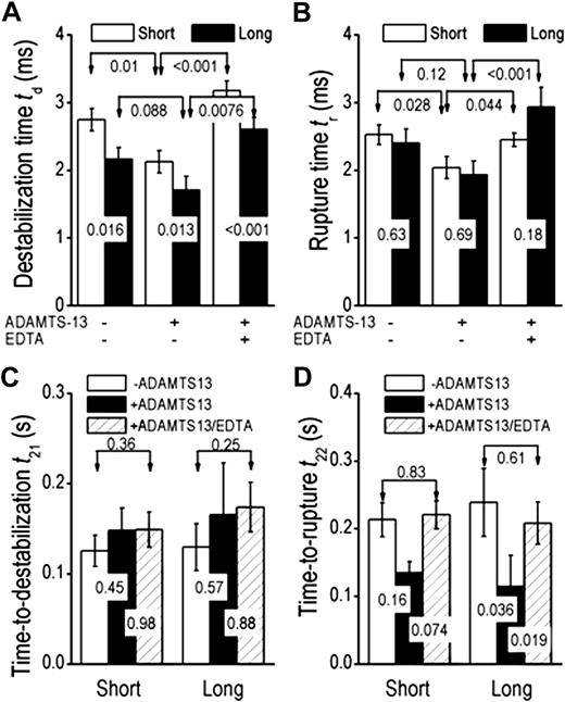 Figure 4. Impact of mode of destabilization. (A-B) Comparison of destabilization times (A) or rupture times (B) for molecules with structural destabilization that yielded short (ld < 35 nm, open bars) and long (ld > 35 nm, closed bars) length increases in the absence or presence of 5 μg/mL ADAMTS-13 without or with 5mM EDTA. (C-D) Comparison of time-to-destabilization t21 (C) or time-to-rupture t22 (D) measured in the absence (open bars) or presence of ADAMTS-13 without (closed bars) or with (hatched bars) EDTA for molecules with structural destabilization that yielded short or long length increases. Data were acquired by GPIbα-pulling and presented as mean ± SEM of several tens of measurements. P values of Student t test are shown to indicate the statistical significance (or lack thereof) of the differences.