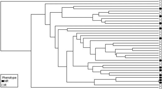 Figure 1. Unsupervised cluster analysis was performed on the training set (N = 36). Patients who subsequently achieved CCyR partially separated from patients with more than 65% Ph+ metaphases after 12 months of imatinib therapy.