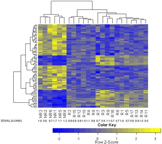 Figure 2. Unsupervised cluster analysis of the validation set (N = 23), using the minimal list of 75 probe sets derived from the training set. Nonresponders and responders are separated. Sokal scores are indicated for comparison.