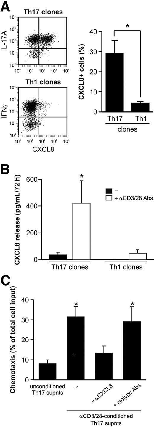 Figure 2. Activated Th17 clones can recruit neutrophils through CXCL8 release. (A) CXCL8 expression in phorbol myristate acetate/ionomycin-activated Th17 and Th1 clones, as evaluated by representative intracellular staining (left panel) and shown as the mean (± SE) values of percentage of positive cells (Th17: n = 9; Th1: n = 5, right panel). (B) CXCL8 concentrations in supernatants harvested from resting or αCD3/αCD28-stimulated Th17 and Th1 clones (n = 4). (C) Chemotaxis of neutrophils toward supernatants harvested from αCD3/αCD28-stimulated Th17 clones, in the presence or absence of αCXCL8, or related isotype, Abs (n = 4). *P < .05.