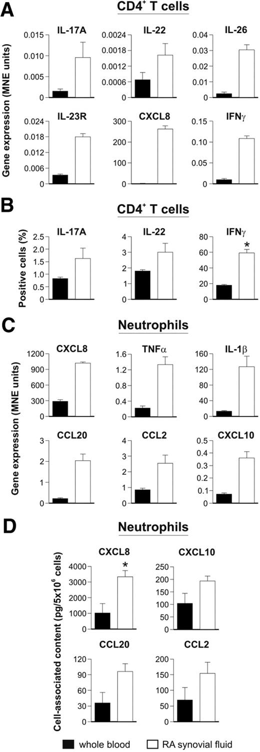 Figure 4. Neutrophils and Th17 cells colocalize in RA. Real-time RT-PCR gene expression analysis (A,C), and protein expression profile (B,D), performed in CD4+ T cells (A-B) and neutrophils (C-D), magnetically purified from the peripheral blood and SF of RA patients. (A,C) Results are expressed as mean normalized expression (MNE) units ± SE of representative samples (n = 3). (B) The mean value of the percentage (± SE) of CD4+ T lymphocytes from peripheral blood or SF of RA patients producing the indicated cytokine on polyclonal stimulation are shown (n = 7). (D) Mean values (± SEM) of cell-associated CXCL8, CXCL10, CCL20, and CCL2 measured by ELISA in lysates of peripheral blood and SF RA neutrophils (n = 3). *P < .05.