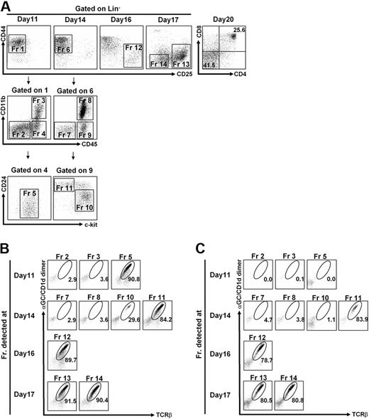 Figure 2. In vitro NKT-ES cell culture. (A) Fluorescence-activated cell sorting (FACS) profiles of cells generated from NKT-ES cells. Cells generated from NKT-ES cells on OP9/Dll-1 in the presence of IL-7 and Flt3L were analyzed by FACSAria at the indicated time points. On days 11 and 14 of culture, Lin (CD3ϵ, CD4, CD8α, TCRβ, TCRγδ, α-GalCer/CD1d dimer, CD11c, CD19, B220, Gr-1)− CD44+ CD25− cells, equivalent to the thymic DN1 population, were further separated based on CD45 and CD11b expression. The CD45+ CD11b− cells were then analyzed for expression of c-kit and CD24. (B-C) Generation of NKT cells from NKT-ES cells. Indicated fractions in panel A were sorted and further cultured on OP9/Dll-1 with IL-7 and Flt3L for a total of 20 days (B), or in the switch culture on OP9/control with IL-7 and Flt3L starting from day 14 of the original culture for the following 6 days (C). The α-GalCer/CD1d dimer+ TCRβ+ fraction generated from OP9/Dll-1 (B) or from switch culture on OP9/control (C) was analyzed by FACS.