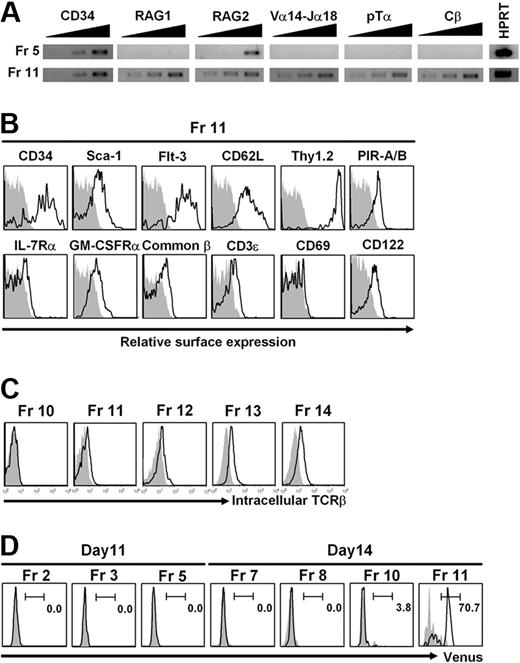 Figure 3. Analysis of the cell fraction with NKT-cell potential. (A) Reverse-transcription (RT)–PCR analysis. The cells in Fr 5 and Fr 11 shown in Figure 2A were sorted, and total RNA was isolated. The indicated genes were analyzed by RT-PCR using primer pairs listed in supplemental Table 3. Total RNA from 5 × 102, 1 × 103, and 2 × 103 cell equivalents was used as template in each lane. Hypoxanthine guanine phosphoribosyl transferase (HPRT) was used as a loading control and the RNA was from 5 × 102 cells. (B) Surface phenotypes. The cells in Fr 11 shown in Figure 2A were analyzed for surface markers by flow cytometry. Shadowed profiles indicated isotype-matched control antibody staining. (C) Intracellular TCRβ staining. The cells in Fr 10 to Fr 14 shown in Figure 2A were analyzed for intracellular TCRβ expression by flow cytometry. Shadowed profiles indicated isotype-matched control antibody staining. (D) FACS analysis of cells derived from NKT-ES-V cells. The developmental progression of NKT-ES-V cells cultured on OP9/Dll-1 under the same conditions as shown in Figure 2A was the same as that of NKT-ES. Thus, cell fractions equivalent to Fr 2, Fr 3, and Fr 5 on day 11 and Fr 7, Fr 8, Fr 10, and Fr 11 on day 14 of culture shown in Figure 2A were gated and analyzed for Venus expression by FACSAria.