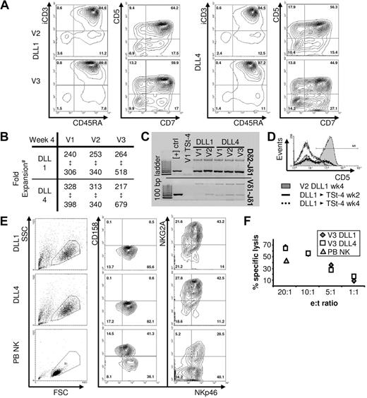 Figure 1. mCD34+ cells develop into T/NK progenitors on DLL1/4 interaction. mCD34+ cells were obtained from 3 donors, V1 to V3. (A) Expression of indicated T-lineage–associated markers has stabilized after 4 weeks of culture on TSt-4-hDLL1/4 monolayers. For V2 and V3, the population percentage distribution of each marker combination falls within the following ranges: 88% to 92% for CD45RA+iCD3+ and 45% to 55% CD7+CD5+. For V1, these percentages are 63% to 68% and 37% to 58%, respectively. (B) #Numbers/donor represent minimum and maximum of fold increases observed in 2 or 3 independent experiments/donor. (C) DNA was isolated from cells cultured on TSt-4 and TSt-4-hDLL1/4 for polymerase chain reaction analysis of gene rearrangements at the TCR locus. At the δ-locus, all donors show clear Dδ-Jδ rearrangement products, whereas Vδ-Jδ rearrangement products are faint and therefore must have occurred less frequently. In contrast to positive controls, 2 products are amplified from DNA of mCD34+ cell–derived progenitors. Sequence analysis demonstrated that the large products (> 1000 bp) are partial rearrangements of the δ-locus. (D) When differentiated cells were cultured for another 4 weeks on TSt-4 without DLL, the population lost surface expression of the T-lineage–associated marker CD5. (E) Instead, cells gained expression of the NK-lineage–associated markers NKp46 and NKG2A but did not express the killer cell immunoglobulin-like receptor proteins CD158a-c. Again, there are no differences between hDLL1- or hDLL4-derived cells. Similar results were obtained with another donor. (F) TSt-4–derived cells have killing capacity when coincubated at indicated effector (e) target (t) ratios with the HLA class I–negative leukemia cell line K562. Each point represents the average of a triplicate analysis. Similar results were obtained with another donor. Purified peripheral blood (PB) NK cells from healthy controls always served as positive control.