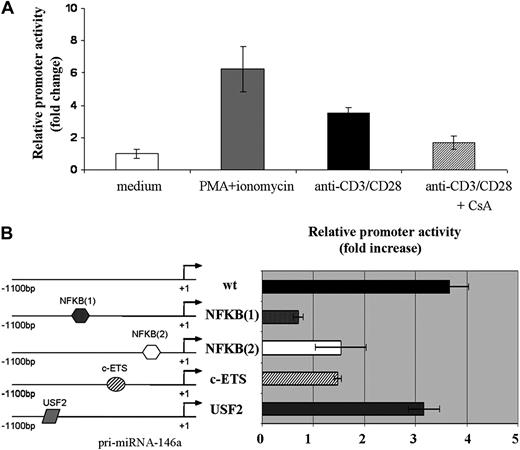 Figure 3. A region of 1100-nt upstream of pri-miR-146a is able to induce expression of a reporter gene upon TCR stimulation. Jurkat cells were cotransfected with pMluc luciferase reporter containing the 1100-bp miR-146a promoter region and with pGL3-tk-luc, used for normalization of transfection. A renilla/firefly Dual-Luciferase assay was performed. Relative promoter activity in stimulated cells is compared with that in nonstimulated cells, which is set to 1. (A) Cells were stimulated for 24 hours with either PMA and ionomycin or anti-CD3/CD28 Abs. Where indicated, Jurkat cells were pretreated for 30 minutes with CsA. Each bar is the mean of 4 independent experiments (P < .05). (B) Jurkat cells were cotransfected with the wild-type or with the mutagenized 1100-bp promoter constructs: NFKB(1); NFKB(2); c-ETS; or USF-2 together with pGL3-tk-luc, used for normalization of transfection. Cells were stimulated with anti-CD3/CD28 Abs for 24 hours. Each bar is the mean of 4 independent experiments (P < .05).