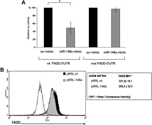 Figure 6. FADD is a target of miR-146a. (A) The FADD-3′UTR luciferase construct was cotransfected in 293T cells with miR-146a mimic or with a negative control mimic (scr mimic). Results are expressed as mean (±SD, n = 3) of the ratio between renilla luciferase and firefly control luciferase activities (*P < .01). (B) Intracellular staining and FACS analysis for FADD protein. FADD protein levels were measured as mean fluorescence intensity (MFI). Values of MFI are expressed as mean (±SD, n = 7). Black histogram represents pRRL-ct Jurkat cells stained with FADD Ab, gray histogram represents pRRL-146a Jurkat cells stained with FADD Ab, and dashed open line represents pRRL-ct and pRRL-146a Jurkat cells stained with anti–rabbit fluorescein isothiocyanate (FITC) secondary antibody alone.