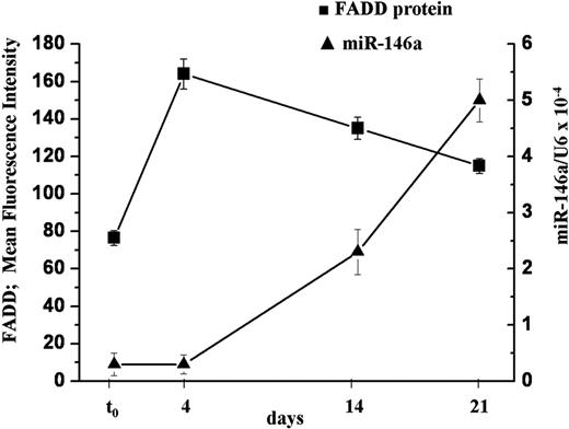 Figure 7. FADD protein level negatively correlates with miR-146a expression in human primary T cells. Human primary naive CD4+ T lymphocytes were stimulated with PMA and ionomycin and samples were analyzed to quantify FADD protein and miR-146a levels at different times. FADD levels were measured by intracellular staining and expressed as mean fluorescence intensity (MFI). MiR-146a expression was measured by qRT-PCR and U6 levels were used for normalization. Each bar is the mean of 3 independent experiments.