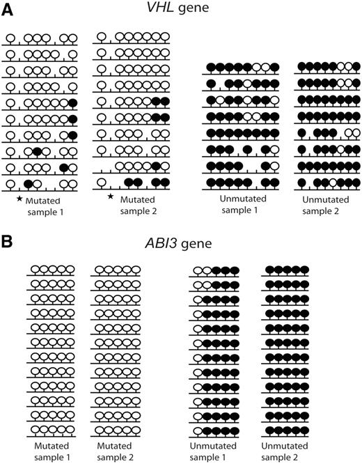 Figure 5. Bisulfite sequencing of 2 tumor suppressor genes. (A) VHL and (B) ABI3. Results from 2 IGHV mutated and 2 IGHV unmutated CLL samples are shown. Black lollipops indicate methylated CpG sites; and white lollipops, unmethylated CpG sites. ★ indicates a polymorphic site.