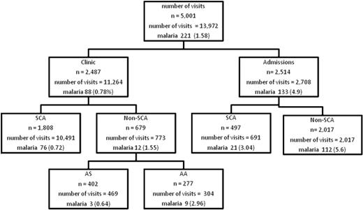 Figure 1. Flow of persons and visits in the study with prevalence of malaria parasitemia. SCA indicates sickle cell anemia; AS and AA are the hemoglobin phenotypes. Clinic refers to events at outpatient clinic visits; admissions refer to events during hospitalization. Number of visits refers to all visits; n is number of persons. Malaria refers to malaria parasitemia. The number after malaria is the number of episodes of malaria parasitemia, figures in parentheses is the prevalence per visit (not per person). Note that persons without SCA (non-SCA) were not part of the prospective surveillance and were seen only once.