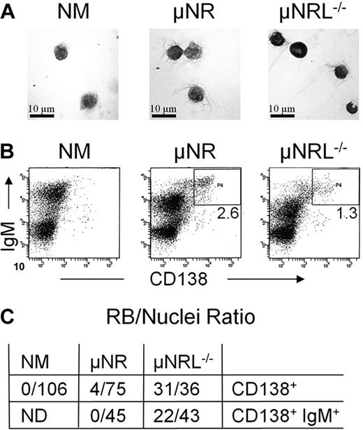 Figure 6. The absence of LC and HC truncation leads to Ig aggregation. (A) Analysis of CD138+ cells from normal (NM), μNR (Cμ1/2 deletion), and μNRL−/− mice, stained after sorting with PAS and hematoxylin as in Figure 5A, showed that RBs are frequently generated when LC is missing. (B) Cells were surface-stained with anti-CD138 followed by intracellular staining with anti-IgM. The ratio of IgM+ CD138+ cells is well maintained in μNRL−/− animals (1.3%) and allows a direct comparison (C) of the RB to nuclei ratio in HC truncation mice with and without LC. ND indicates not determined.