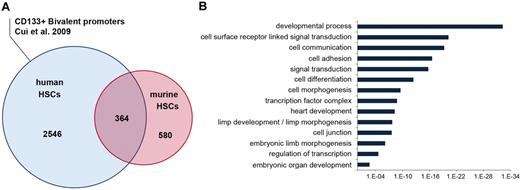 Figure 3. Bivalent promoter methylation states in hematopoietic stem cells are evolutionarily conserved. (A) Venn diagram showing the conservation between promoters occupied with bivalent states in mouse and human HSCs. The human bivalent dataset was taken from a recent study describing chromatin modification profiles of CD133+ HSCs/HPCs.17 (B) Distribution of shared mouse and human bivalent promoters in different gene ontology categories.