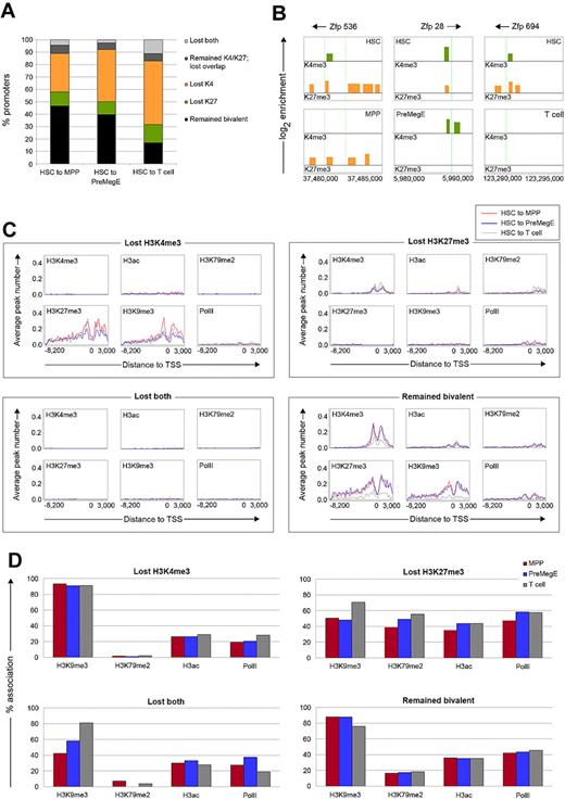 Figure 4. The resolution of bivalent domains during differentiation is coupled to their association with distinct epigenetic signatures in HSCs. (A) The percentage of promoters changing from a bivalent chromatin state in HSCs after differentiation into MPPs, PreMegEs, and T cells. Promoters either remained bivalent (black), lost H3K27me3 (green), lost H3K4me3 (orange), remained both H3K4me3/H3K27me3 without overlapping peaks (dark gray), or lost both marks (light gray). (B) Resolution of bivalent histone modification profiles at the Zfp536, Zfp28, and Zfp694 promoters located on chromsome 7 in HSCs after differentiation into MPPs, PreMegEs, and T cells, respectively. (C) Subsequent histone modification and PolII profiles for HSC bivalent promoters that lose H3K4me3, H3K27me3, both, or remain bivalent in MPPs (blue line), PreMegEs (red line), and T cells (gray line). For each plot, the x-axis shows the tiled promoter regions, and the y-axis is the average number of peaks at promoters. (D) Subsequent histone modification and PolII profiles for HSC bivalent promoters also occupied with H3K9me3, H3K79me2, H3ac, and PolII that lose H3K4me3, H3K27me3, both, or remained bivalent in MPPs (blue), PreMegEs (red), or T cells (gray).