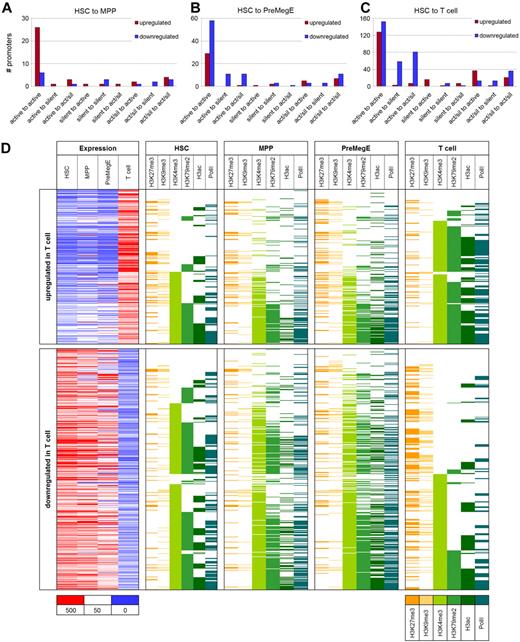 Figure 5. Maintenance of transcriptionally poised chromatin modifications states after HSC differentiation. (A-C) Changing histone modification profiles at promoters of genes showing at least 3-fold up-regulation (red bars) and down-regulation (blue bars) in MPPs (A), PreMegEs (B), and T cells (C). Up-regulated and down-regulated promoters were grouped according to whether they acquired activating (active), silencing (silent), or both activating and silencing (act/sil) modifications at each developmental stage. (D) Histone methylation and PolII profiles of promoters showing at least 3-fold up- or down-regulation of gene expression in T cells. Left panels show gene expression in HSCs, MPPs, PreMegEs, and T cells as assessed by Affymetrix. Right panels indicate the histone methylation and PolII profiles at up- and down-regulated promoters in all 4 cell types, sorted according to increasing numbers of activating histone modifications in T cells relative to HSCs.