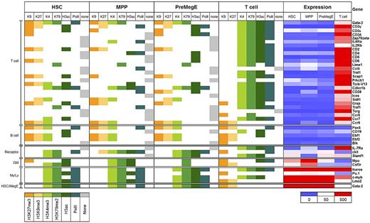 Figure 6. Epigenetic priming of T cell–specific gene promoters in early hematopoiesis. T cell–specific genes were selected from the literature and their promoters analyzed for the presence of activating (green) or silencing (orange) histone modifications, PolII (teal), or no marks (gray) in HSCs, MPPs, PreMegEs. and T cells. Genes were grouped according to lineage-associated functions: T cells, B cells; cell surface signaling receptors, granulocyte/monocytes (GM); myeloid/lymphoid cells (My/Ly), hematopoietic stem cells/megakaryocytes and erythrocytes (HSC/MegE). Gene expression values are shown as a heat map using a cutoff value of 50 (white) to determine genes with no detectable expression (blue) and expressed genes (red).