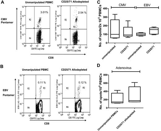 Figure 5. Antiviral responses are preserved following CD25/71 allodepletion. (A) CMV-specific CD8+ T cells are preserved after CD25/71 allodepletion. The figure shows a representative FACS analysis from 1 of 4 D-R pairs demonstrating staining of either unmanipulated PBMCs (left) or CD25/71 allodepleted cells (right) in a HLA-A2–positive, CMV-seropositive donor with a HLA-A2–CMV pp65 pentamer (top right quadrants). The percentages of pentamer-positive cells as a proportion of CD8+ cells with isotype subtracted are shown. (B) EBV-specific CD8+ T cells are retained after CD25/71 allodepletion. Representative FACS analysis from 1 of 4 D-R pairs demonstrating staining of either unmanipulated PBMCs (left) or CD25/71 allodepleted cells (right) in a HLA-A2–positive, EBV-seropositive donor with a HLA-A2–CLG pentamer (top right quadrants). The percentages of pentamer-positive cells as a proportion of CD8+ cells with isotype subtracted are shown. (C) Functional T-cell responses to CMV and EBV are preserved after CD25/71 allodepletion (n = 5). The frequency of cells secreting IFN-γ in response to stimulation with irradiated autologous PBMCs pulsed with a peptide mix from CMV pp65 or autologous EBV LCL was determined by ELISPOT assays. Unmanipulated PBMCs or CD25/71 allodepleted T cells from the same seropositive donors were compared. Line = median, box = 25th-75th centile, error bars = minimum, maximum. (D) T cells responses to adenovirus are preserved after CD25/71 allodepletion (n = 4). The frequency of cells secreting IFN-γ in response to stimulation with irradiated autologous PBMCs transduced with an adenoviral vector (Ad5f35-GFP) was determined by ELISPOT assay. Unmanipulated or CD25/71 allodepleted T cells from the same seropositive donors were compared.