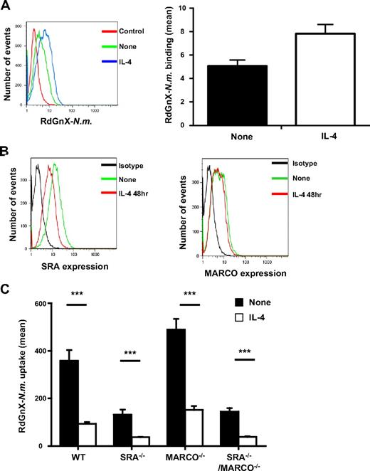 Figure 2. IL-4 priming of MΦs does not modify SRA and MARCO expression or decrease N meningitidis binding at MΦ surface. (A) Effect of IL-4 on N meningitidis binding at the MΦ surface. ThioMΦs were treated for 48 hours with IL-4 and incubated for 2 hours at 4°C with RdGnX-N.m. (Nm; 100 bacteria/MΦ). The average mean fluorescence intensity of 2 independent experiments is presented as a bar diagram. Error bars indicate SDs. (B) Effect of IL-4 on surface expression of SRA and MARCO. ThioMΦs were treated for 48 hours with IL-4, and SRA and MARCO cell surface expressions were determined by flow cytometry using αMARCO mAb (ED31) or αSRA mAb (2F8). One experiment representative of 2 is shown. (C) Effect of alternative activation on RdGnX-N.m. uptake by WT, SRA−/−, MARCO−/−, and SRA−/−/MARCO−/− MΦs. ThioMΦs were treated for 48 hours with IL-4 and incubated for 2 hours at 37°C with RdGnX-N.m. (100 bacteria/MΦ). The average mean fluorescence intensity for 4 independent experiments is presented as a bar diagram. Error bars indicate SDs.