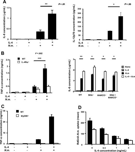 Figure 3. Alternative activation potentiates N meningitidis–induced proinflammatory cytokine secretion via MyD88, independent of SRA and MARCO. (A) WT ThioMΦs were cultivated 48 hours in the presence or absence of IL-4 and incubated for 24 hours with or without N meningitidis (Nm; 100 bacteria/cell). The culture supernatant was analyzed for production of TNF-α and IL-6 by ELISA and by FlowCytomix for IL-12 p70 production. Data represent the mean ± SEM of replicates from 1 experiment, representative of 3 experiments. (B) Increased proinflammatory secretion depended on the IL-4 receptor pathway but was independent of pathogen recognition receptor expression. (Left) WT (■) and IL-4Rα−/− (□) ThioMΦs were cultivated 48 hours in the presence or absence of IL-4 and incubated for 24 hours with or without N meningitidis (100 bacteria/cell). The culture supernatant was analyzed for production of TNF-α and IL-6 by ELISA. Data represent the mean ± SEM of replicates from 1 experiment, representative of 3 experiments. (Right) WT, SRA−/−, MARCO−/−, and SRA−/−/MARCO−/− ThioMΦs were cultivated for 48 hours in the presence or absence of IL-4 and challenged with or without N meningitidis (100 bacteria/cells) for 24 hours. The culture supernatant was harvested and analyzed for IL-6 secretion by ELISA. (C) MyD88−/− ThioMΦs were cultivated for 48 hours in the presence or absence of IL-4 and challenged with or without N meningitidis for 24 hours. Cell supernatants were assayed for TNF-α by ELISA. (D) Flow cytometry of ingestion of RdGnX-N meningitidis by WT and MyD88−/− ThioMΦs. ThioMΦs were treated for 48 hours with different concentrations of IL-4 and incubated for 2 hours at 37°C with RdGnX-N meningitidis (100 bacteria/MΦ). The average mean fluorescence intensity of 3 independent experiments is shown as a bar diagram. Error bars indicate SDs.