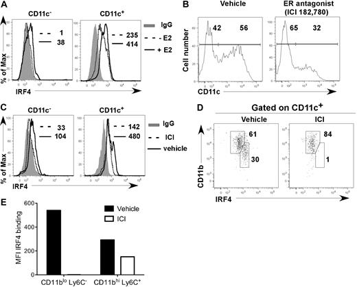 Figure 4. E2/ERα signaling promotes development of DCs that harbor increased amounts of IRF4 protein. (A) Lin− BM cells were incubated with 1nM E2 or vehicle in hormone-deficient medium. On day 7, IRF4 protein expression in CD11c− and CD11c+ cells was determined. Shown are: binding of anti-IRF4 Ab to cells from vehicle-treated cultures (dotted line); binding of anti-IRF4 Ab to cells from E2-treated cultures (solid line); binding of isotype control IgG on cells from the E2-treated cultures (shaded gray). MFI values for anti-IRF4 binding with or without E2 are indicated (with value for isotype control IgG subtracted). Data are representative of 3 experiments. (B-E) MPs were incubated in standard medium with ICI 182,780 (100nM) or vehicle. On day 7, the amount of IRF4 protein expression in CD11c− and CD11c+ cells was determined. (B) CD11c expression on all cells; the percentages of CD11c− and CD11c+ cells are indicated. (C) Anti-IRF4 binding on CD11c− and CD11c+ cells in the presence of ICI 182,780 (dotted line) or vehicle (solid line). The binding of isotype control IgG on cells in vehicle-treated cultures is indicated (shaded gray). MFI values for anti-IRF4 binding with or without ICI 182,780 are indicated (with value for isotype control IgG subtracted). (D) Within CD11c+ cells, CD11bint DCs express higher levels of IRF4 than CD11bhi DCs. The percentage of DCs within each gate is indicated. (E) MFI values for anti-IRF4 binding with or without ICI 182,780 are indicated for each DC subset. Data are representative of 2 experiments.