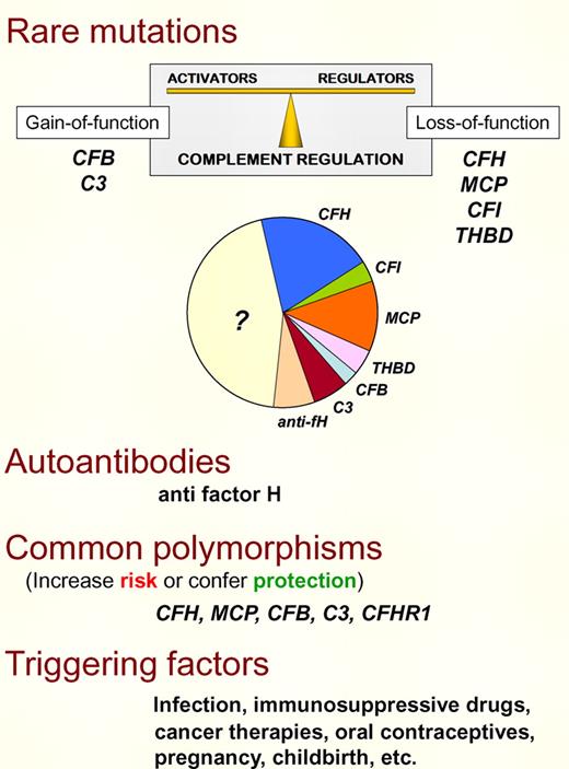 aHUS risk factors. There are several risk factors (genetic and environmental) contributing to aHUS pathogenesis. Rare mutations in the complement alternative pathway (AP) proteins factor H, factor I, MCP, C3 or factor B, and in the coagulation protein thrombomodulin reveal a genetic defect in approximately 50% of aHUS patients. Functional characterization of these mutations has established that aHUS results from complement dysregulation that causes defective protection of cellular surfaces. Importantly, complement dysregulation may result from either a defect in the regulatory proteins (loss-of-function) or an abnormally increased activity of the AP complement components (gain-of-function). Anti–factor H autoantibodies with similar consequences that the complement loss-of-function mutations are present in 5% to 10% of aHUS cases. Common polymorphisms in complement AP proteins also contribute to delineate the genetic predisposition to aHUS, either increasing risk or conferring protection. Finally, triggering factors that activate complement modulate aHUS genetic predisposition. In carriers of multiple strong aHUS genetic risk factors, the contribution of the environment is probably minor. On the other hand, strong environmental factors may compensate for low genetic predisposition.