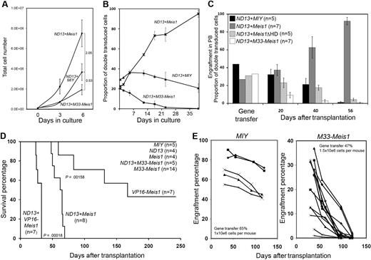 Figure 1. M33-Meis1 confers growth inhibition on a myeloid progenitor cell line and to normal hematopoietic cells. (A) In vitro growth kinetics of indicated FACS-sorted cells plated in standard growth conditions. The fold changes compared with ND13+MIY are indicated. (B) In vitro cell expansion of unsorted transduced cells expressed as double-positive GFP+ and YFP+ cells over time. (A-B) The data are expressed as the mean ± SD of 3 independent transductions. (C) Peripheral blood chimerism as measured by FACS analysis. Data are plotted as the percentage (mean ± SD) of GFP+ and YFP+ cells. Gene transfer percentage refers to the proportion of transduced BM cells in the transplanted inoculum. (D) Kaplan-Meier survival curves for mice that received a transplant with BM transduced with the indicated gene(s). Statistical significance was determined by the log-rank test. (E) Peripheral blood chimerism of mice that received a transplant with MIY and M33-Meis1–transduced primary BM as measured by FACS analysis. Data are plotted as the percentage of circulating YFP+ cells for each mouse.