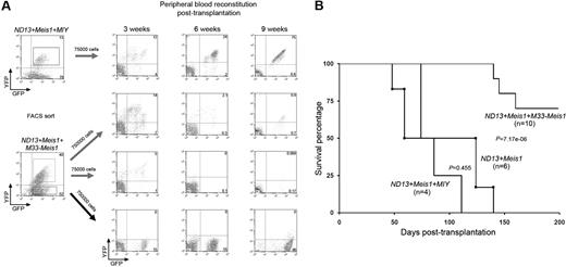 Figure 4. M33-Meis1 suppresses ND13+Meis1-induced AML. (A) General experimental design and representative FACS profiles showing engraftment of mice that received a transplant with indicated cells. Numbers denote the percentage of cells within the quadrant. (B) Kaplan-Meier survival curves for mice that received a transplant with BM cotransduced with the indicated combination of genes.