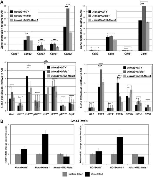 Figure 6. Meis1 induces a gene expression signature consistent with cell-cycle entry. (A) Quantitative RT-PCR analysis on 24 G1-phase regulators. The data are plotted relative to the endogenous control Abl and are expressed as the mean ± SD of 3 independent transductions. P > .05 are unlabeled, *P < .05, **P < .01, and ***P < .001. (B) Cytokine stimulation of Hoxa9 and ND13 BM cells transduced with Meis1 show a significant induction of Ccnd3 levels compared with MIY and M33-Meis1 stimulation levels.