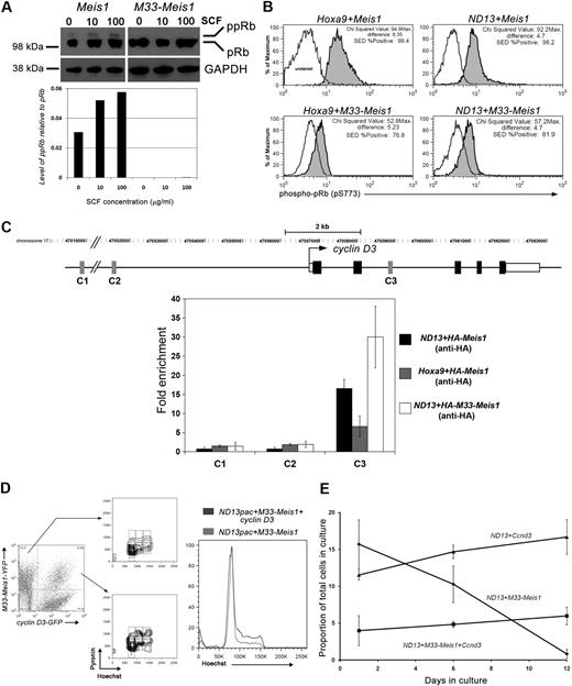 Figure 7. Cyclin D3 is functionally downstream of Meis1. (A top) Western blot analysis of U937+Meis1 and U937+M33-Meis1 cells stimulated with SCF and immunoblotted for hypophosphorylated (pRb) and hyperphosphorylated (ppRb) forms of Rb. Glyceraldehyde phosphate dehydrogenase (GAPDH) served as the loading control. (Bottom) densitometry analysis quantifying ppRb. (B) Intracellular phospho-pRb staining of Hoxa9 and ND13 BM cells transduced with Meis1 or M33-Meis1. The cells were immunostained (shaded) or untreated (unshaded) with anti–phospho-pRb and analyzed by flow cytometry. The Kolmogorov-Smirnov chi-square value and the super enhanced D-max (SED %Positive) statistics are shown. (C top) Schematic representation of cyclin D3 showing the putative start site (arrow), exons (black boxes), 5′ and 3′ untranslated regions (unshaded boxes), and introns. The PCR amplicons are labeled C1, C2, and C3. (Bottom) Data represent the mean of fold enrichment relative to immunoglobulin G ± SD of 3 independent experiments. (D) ND13pac BM cells were cotransduced with M33-Meis1-YFP and cyclin D3-GFP, stained with Hoechst-pyronin, and analyzed by flow cytometry. (E) In vitro growth kinetics of indicated cells plated in standard growth conditions. The data are expressed as the mean ± SD of 2 independent transductions.